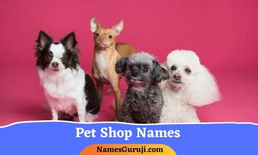Pet Shop Names