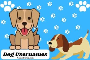 Dog Usernames Ideas
