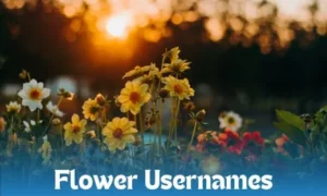 Flower Usernames