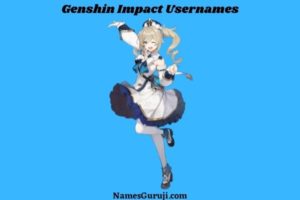 Genshin Impact Usernames