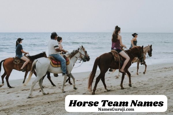 Horse Team Names Ideas