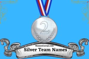 Silver Team Names Ideas
