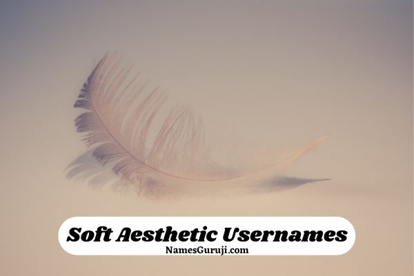 Soft Aesthetic Usernames Ideas