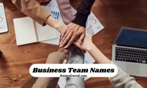 Business Team Names