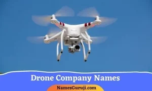 Drone Company Names