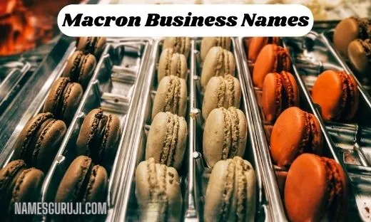 Macron Business Names Ideas