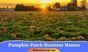 Pumpkin Patch Business Names