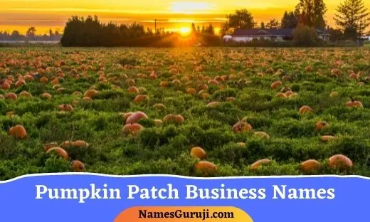 Pumpkin Patch Business Names