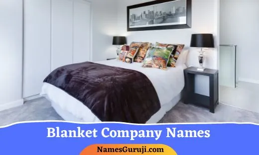 Blanket Company Names Ideas