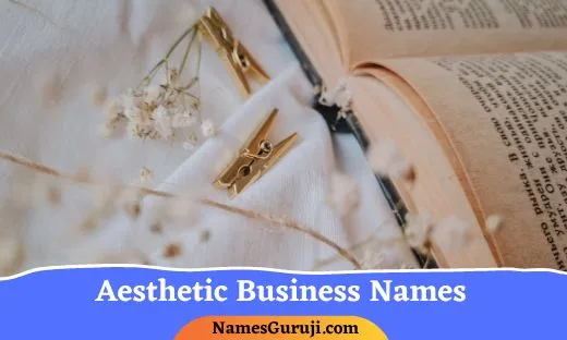 Aesthetic Business Names