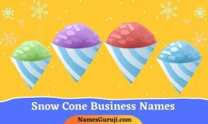 Snow Cone Business Names