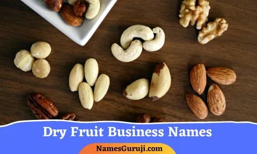 Dry Fruit Business Names