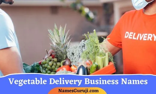 Vegetable Delivery Business Names