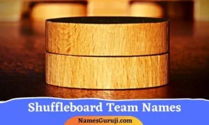 Shuffleboard Team Names