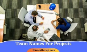 Team Names For Projects